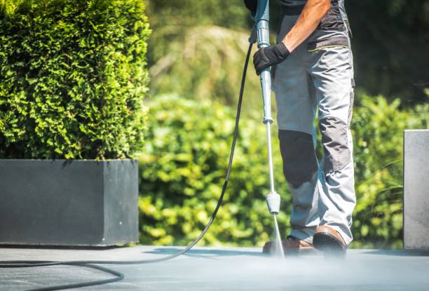Best Roof Washing  in Berwyn Heights, MD